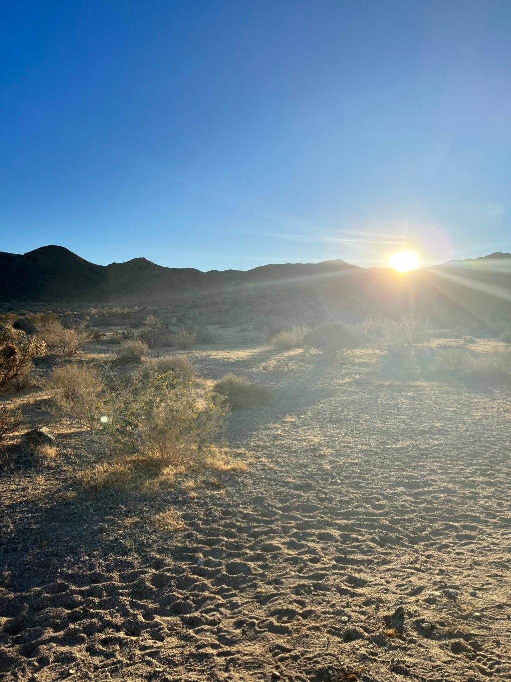 Bevin: A Femme Over 40 and Her&nbsp;Friends