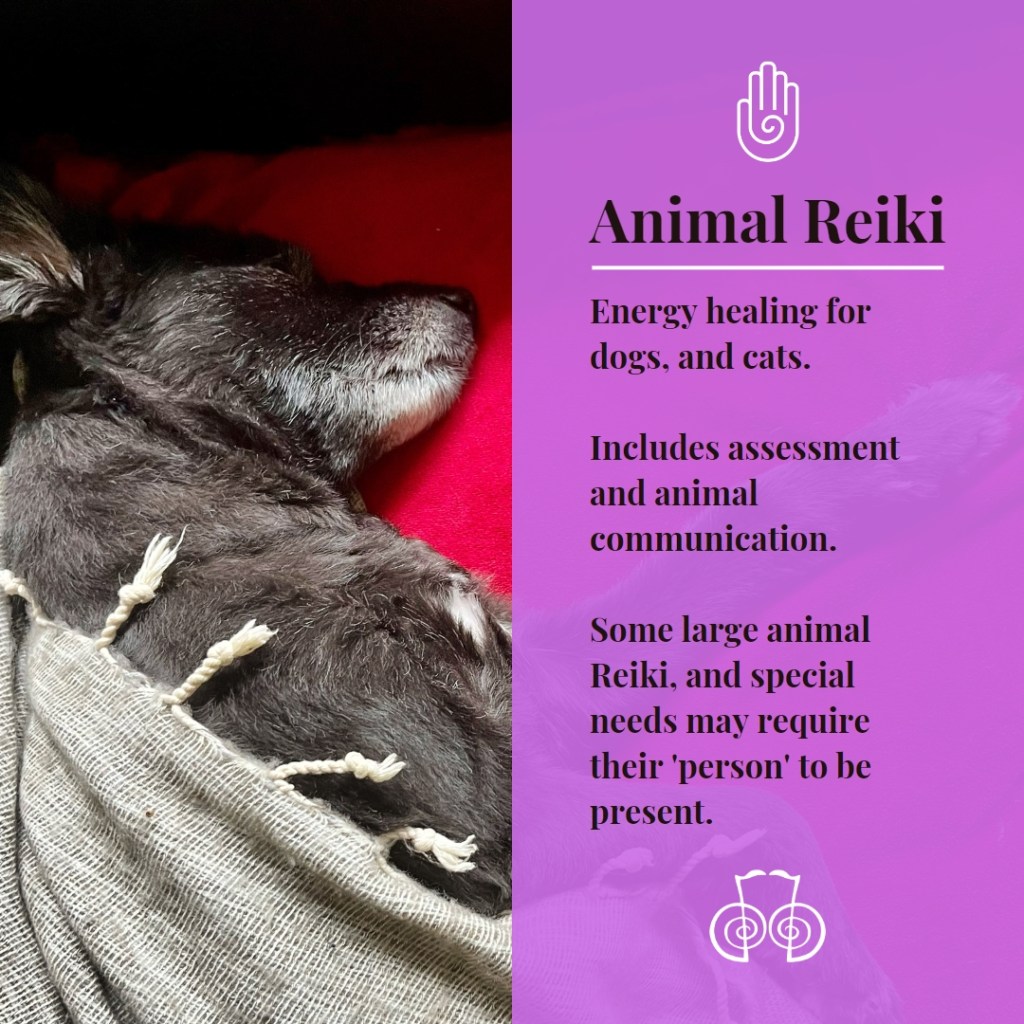 About Animal Reiki